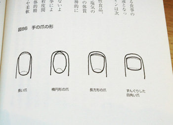 爪の形は?