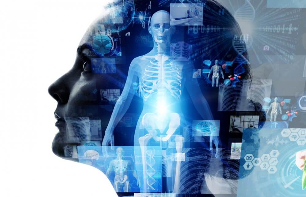 女性の横顔のシルエットと人体模型や化学記号