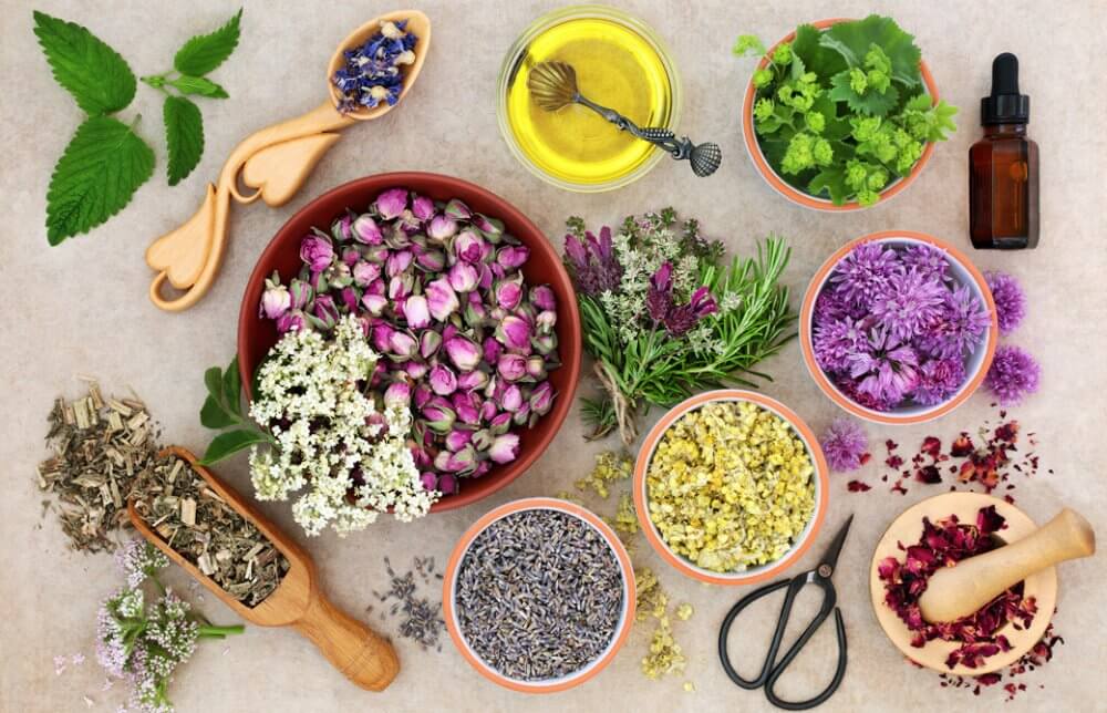 カラフルなハーブ