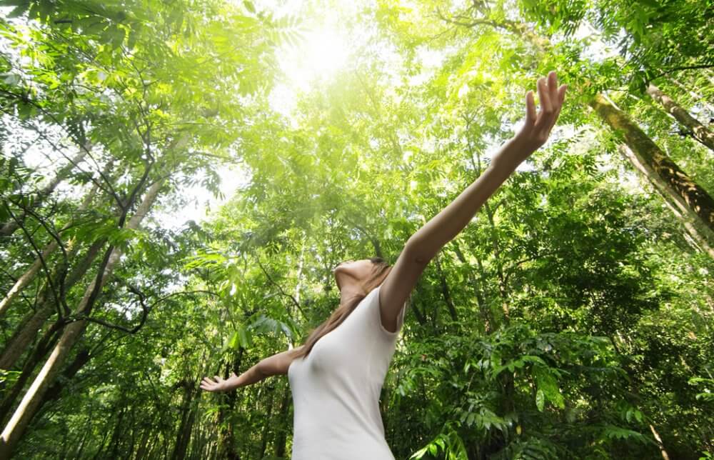 新緑の中で両手を伸ばして上を向いている女性