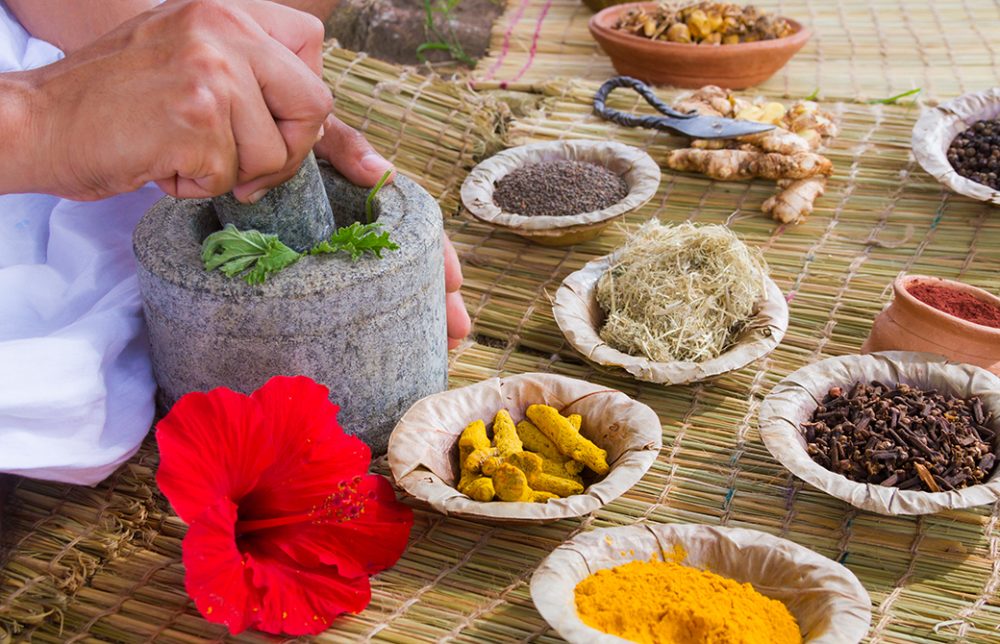 医療としてのアーユルヴェーダ。医師もアーユルヴェーダを学ぶ時代へ