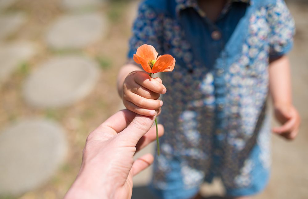 一日一善を心がけてみる