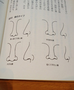 鼻の状態から診察する本を写したもの