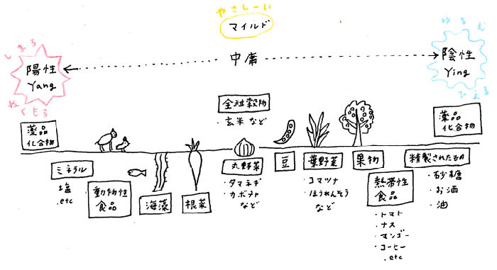 食物のおおまかな陰陽分類