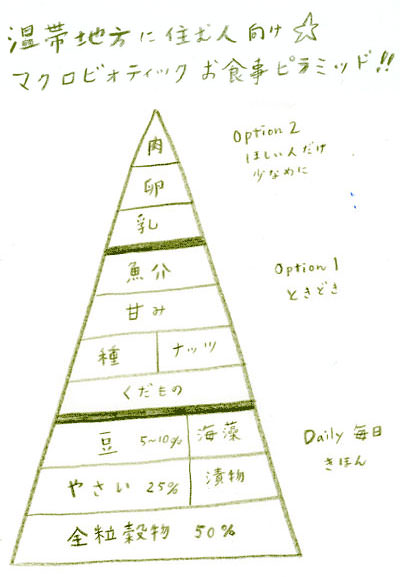 温帯地域に住む人の食物の基準ピラミッド