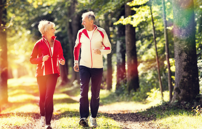 新しい分野：シニアフィットネス｜健康と長生きの秘訣はヨガやウォーキング