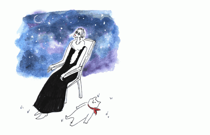 夜空を見上げるマダムYUKOの隣でネコが芝生に横たわっているイラスト