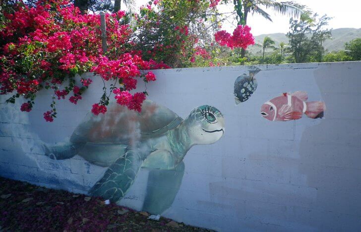 mahokoのブログ カイルアビーチの亀と魚の壁画
