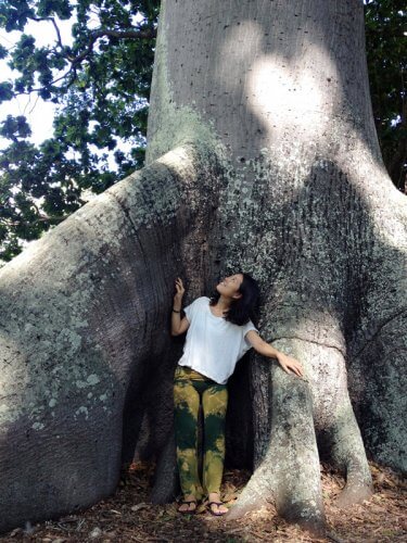 Mahokoのブログ　巨木とMahoko