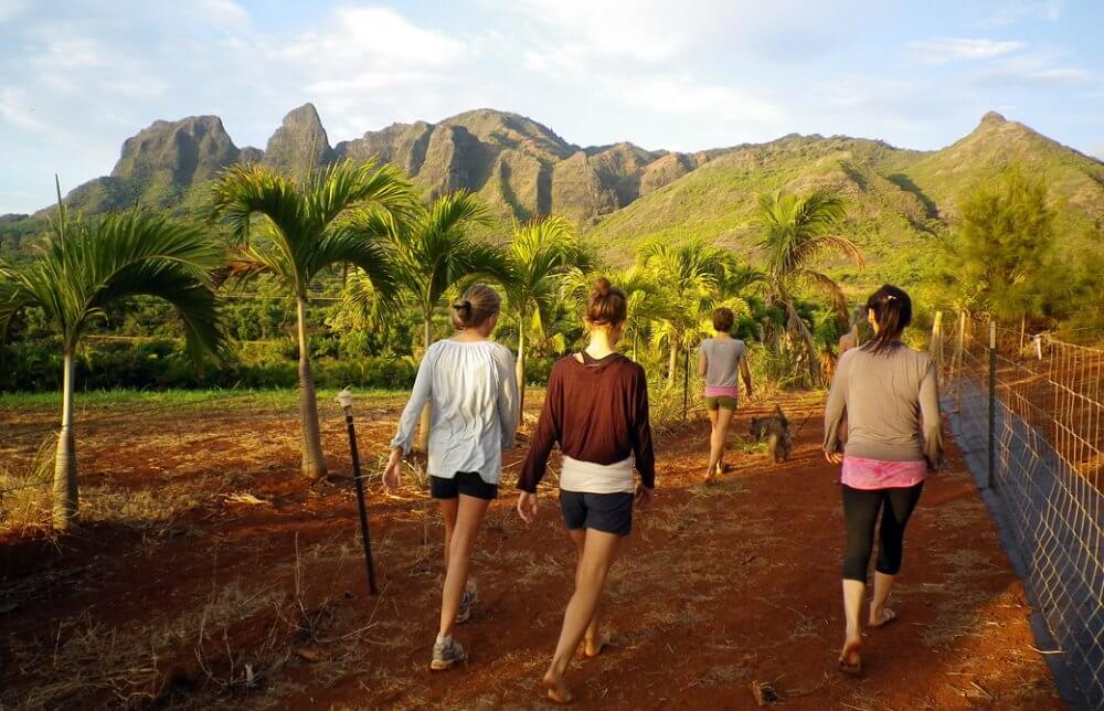 mahokoのブログ カウアイ島での山並みを見ながらモーニングウォーク
