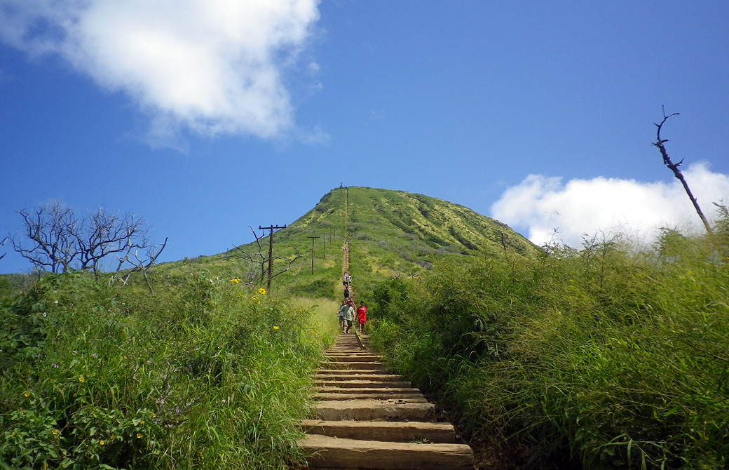 mahokoのブログ ココヘッドの長い階段