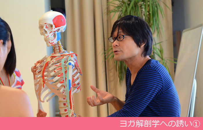 ヨガ解剖学への誘い