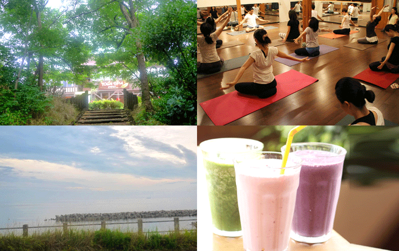 ヨガスパの魅力を伝える写真