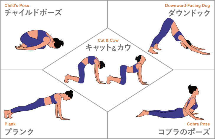 生理に対するヨガの効果が証明 有効なヨガポーズとその理由 ヨガジェネレーション Yogageneration