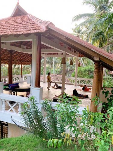 インドでヨガを学びたい人へのアドバイス