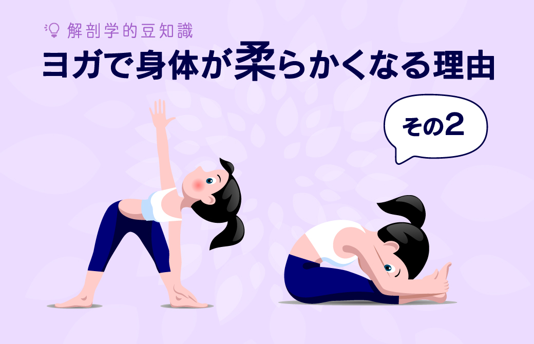 ヨガをすると身体が柔らかくなる理由〜その2〜