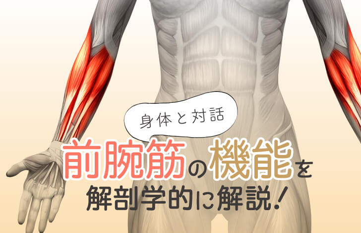 身体との対話：前腕筋の機能を解剖学的に解説！
