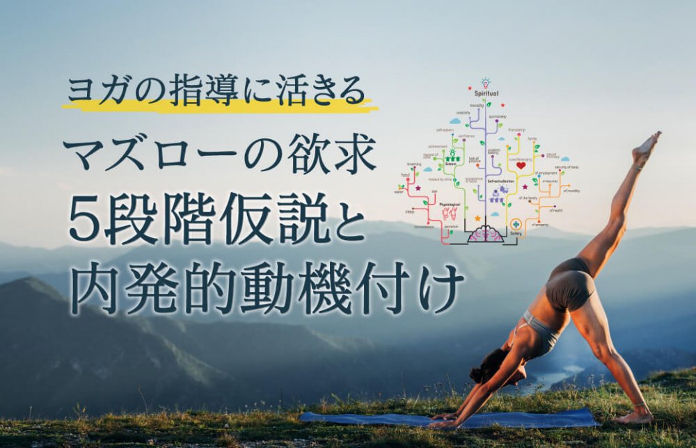 ヨガの指導に活きる、マズローの欲求5段階仮説と内発的動機付け
