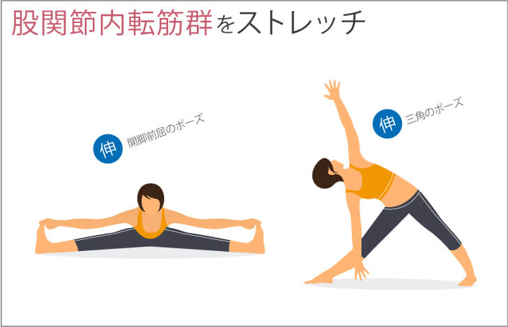 股関節内転筋群をストレッチ Yogagene Illustration 0423 6 ヨガジェネレーション Yogageneration