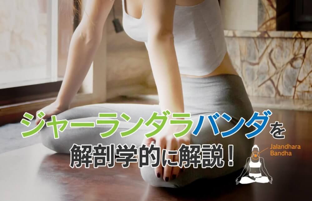 ジャーランダラバンダの効果を、解剖学的に解説！