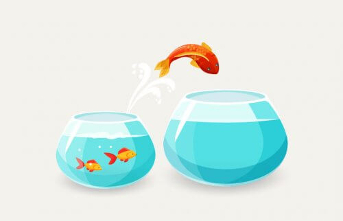 金魚が大きな水槽に飛び移るイラスト Matsushimasensei_0623_01 ヨガジェネレーション