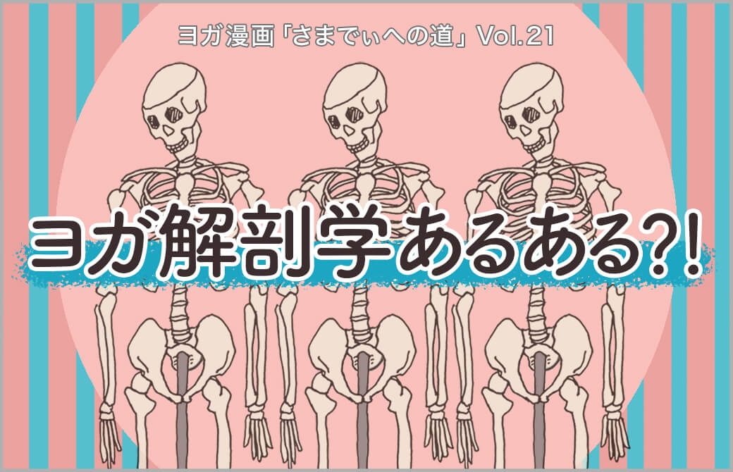 3体の人骨模型