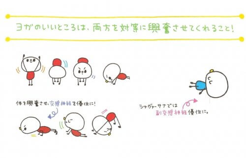 自律神経とヨガ