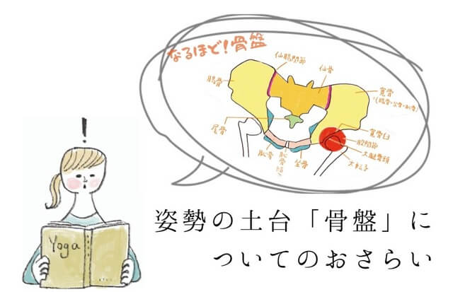 姿勢の土台「骨盤」についてのおさらい