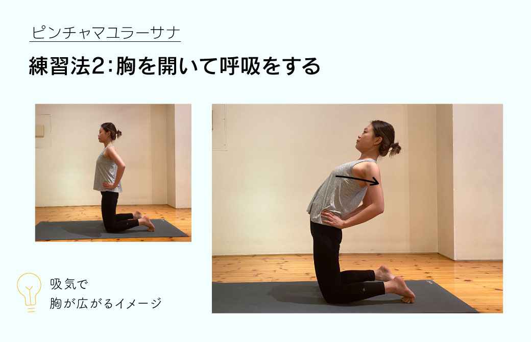 ピンチャマユラーサナ練習法2：胸を開いて呼吸をする