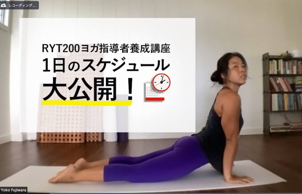 ヨーコ・フジワラRYT200のスケジュール