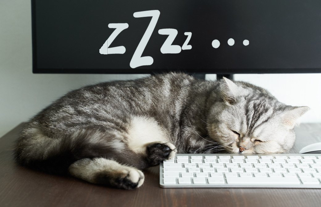 猫がパソコンの上で寝ている