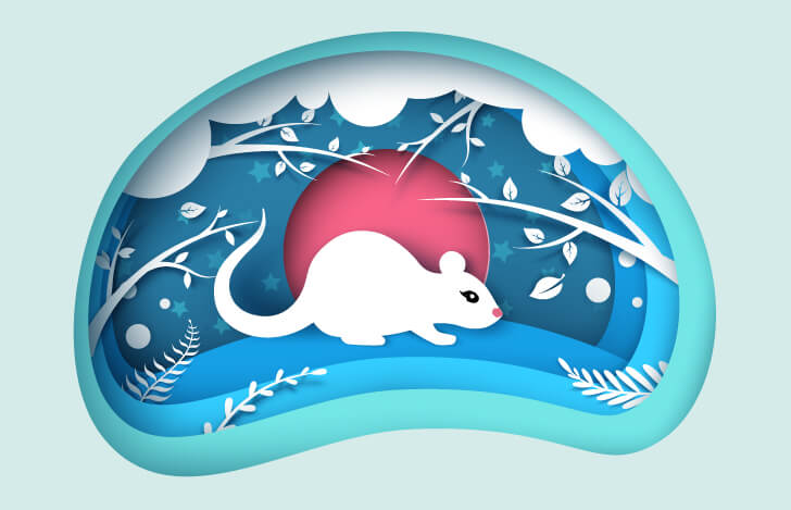 冒険に出る白いネズミの切り絵