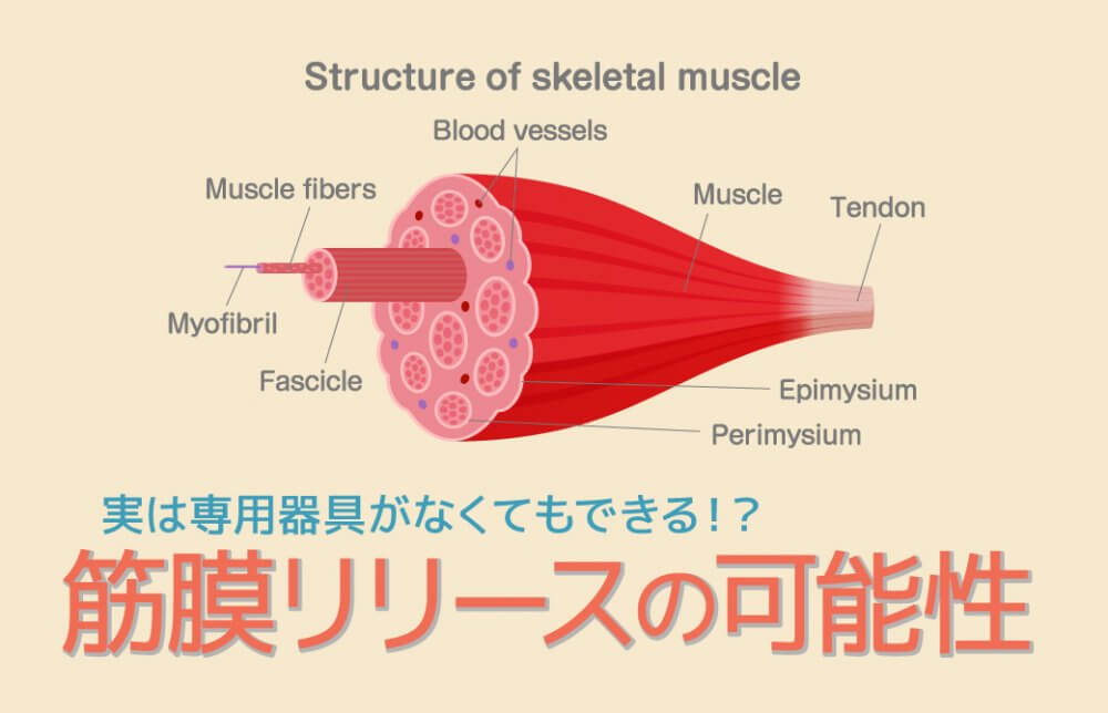 筋膜の画像