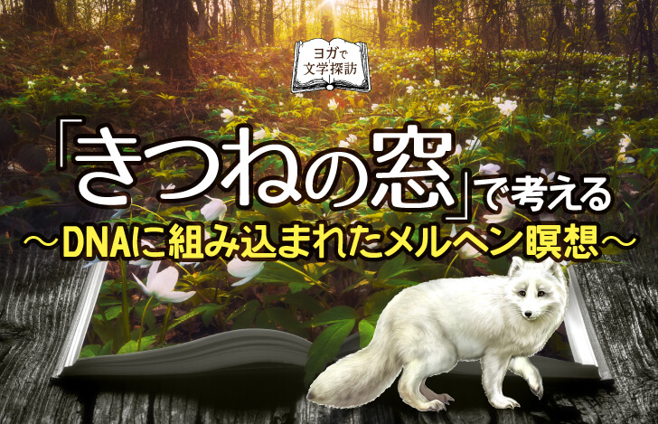 森の中に開かれた本と白いキツネ