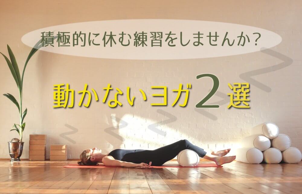 動かないヨガ2選