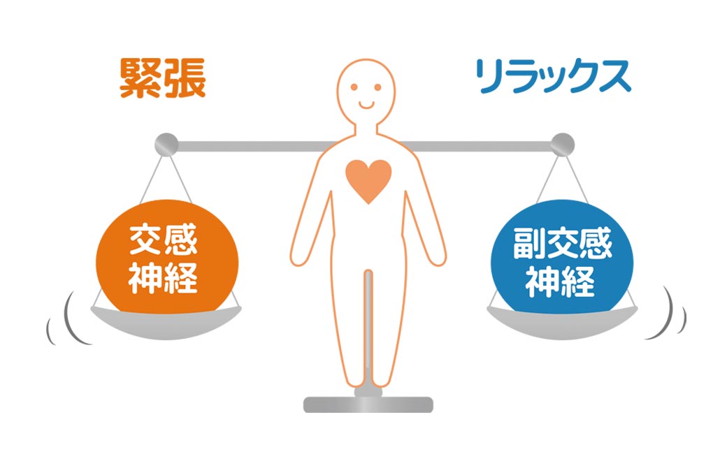 自律神経はバランスが大切！