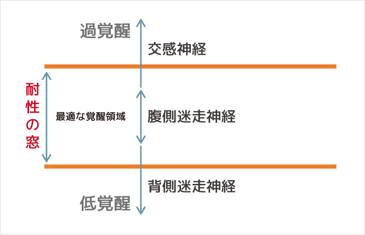 自律神経系を３段階に分類した図