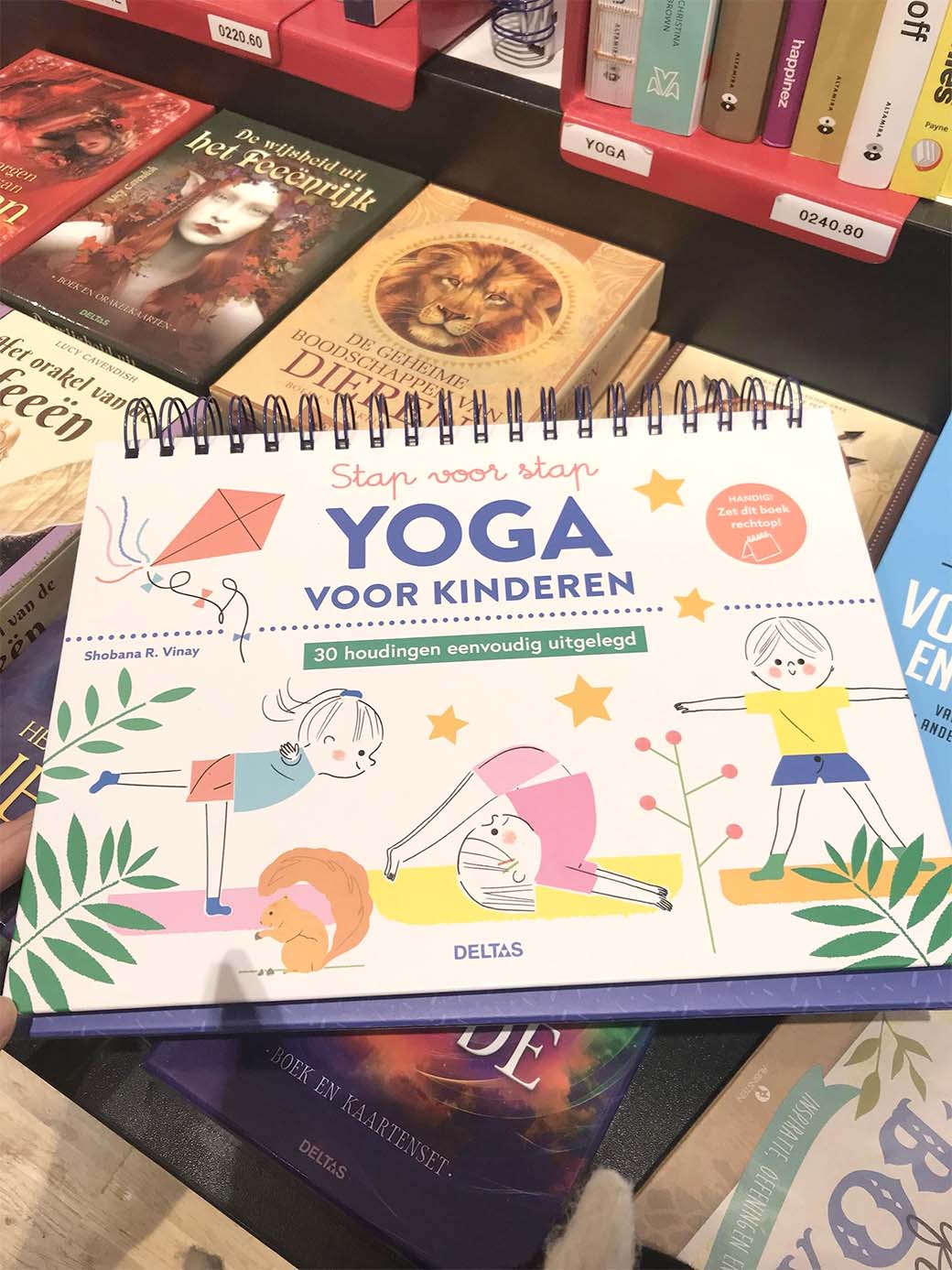 オランダのヨガゲーム：Stap voor stap yoga voor kinderen