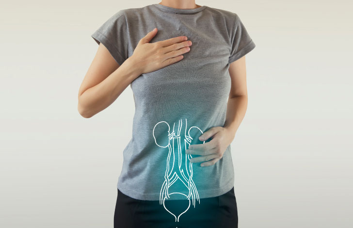 グレーのTシャツを着た女性の上半身と腎臓のイラスト