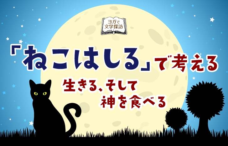 黒猫と夜空に輝く月