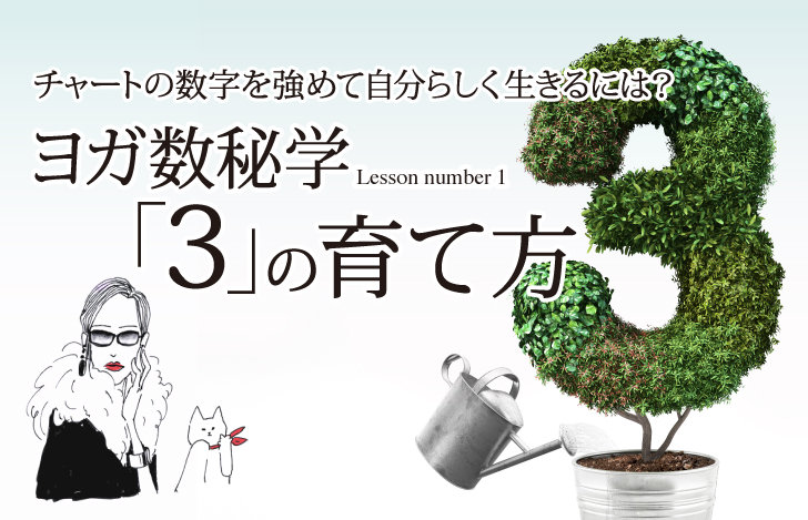 植物で形作られた数字の3とマダムYUKOと猫