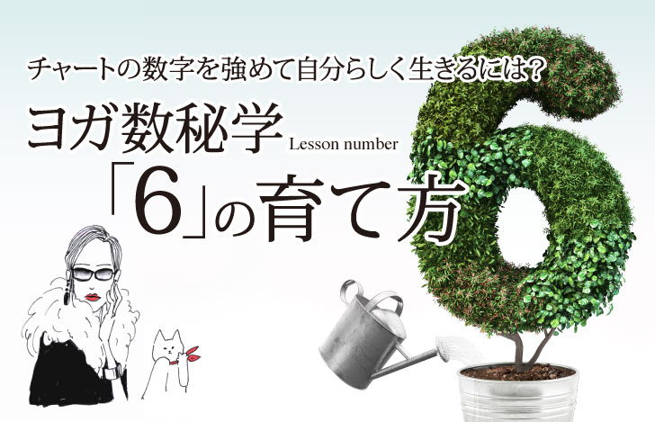 マダムYUKOと猫と植木で形作られた数字の6