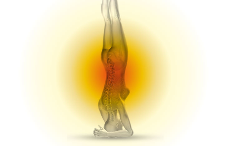 シルシアーサナをとる女性の体のスケルトンイラスト