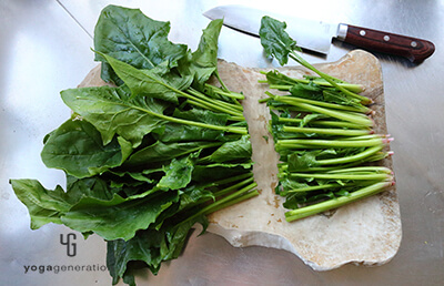 ホウレン草下ごしらえ
