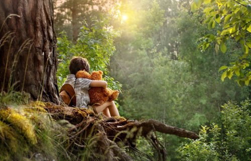 森の木の上でくまのぬいぐるみを抱いて座る男の子