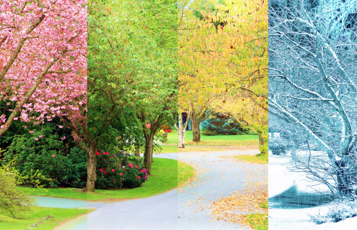 四季それぞれの自然の様子