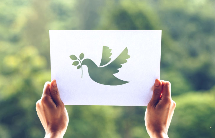 鳩の形に切り抜かれた紙を木々の自然の景色にかざす人の手