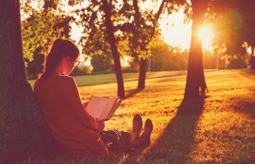 夕焼けの公園で読書をする女性