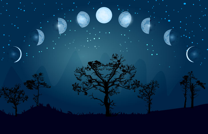 月の満ち欠けを表すイラストと木のシルエット