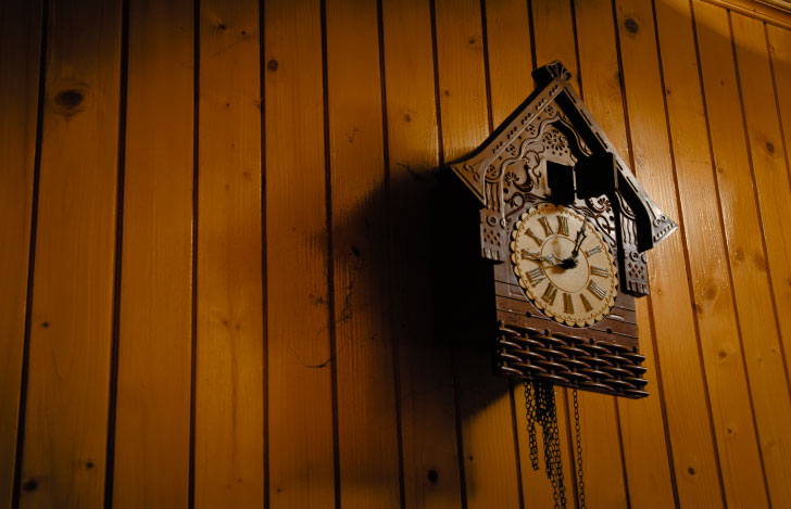 木の壁にかかった鳩時計